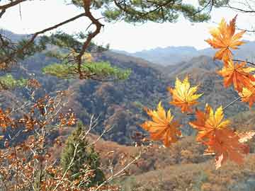 叙永高速车祸最新信息